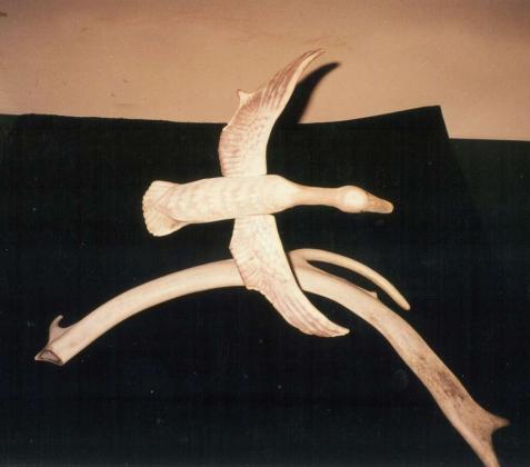 "Migration" caribou antlers
