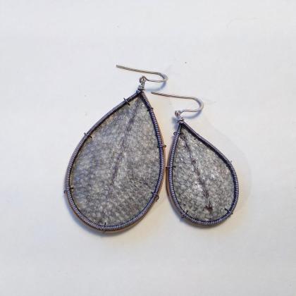 Earrings with Great Slave Lake trout skin on birchbark