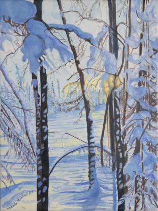 New Snow ,Parker Park