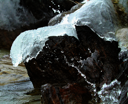 Winter's Grip
