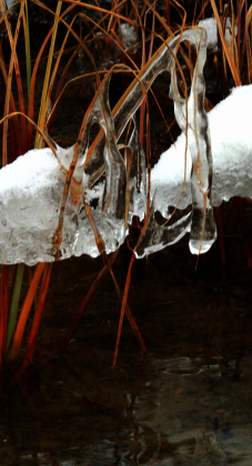 Frozen Armour