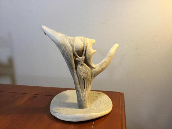 caribou in caribou antler
