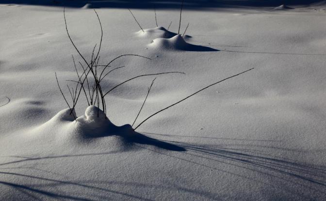 Winterlight