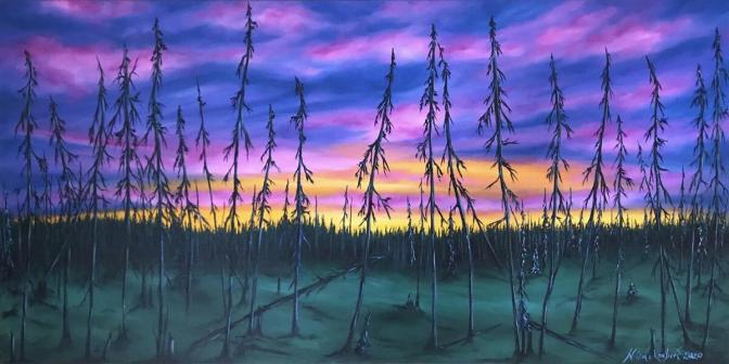 Burned forest coming back to life