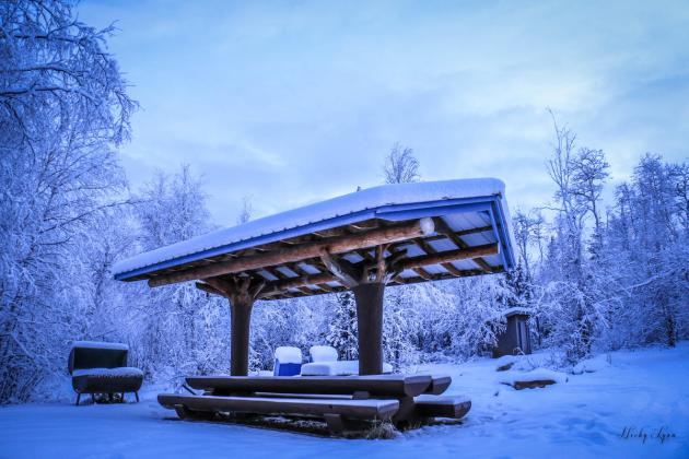 Jackfish Picnic Table