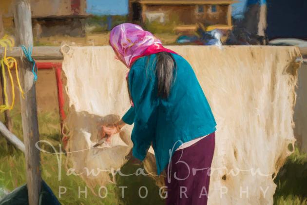 Dene Elder Preparing Hide (painterly print)