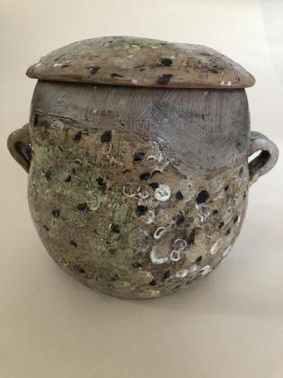 erratic - covered baking dish
