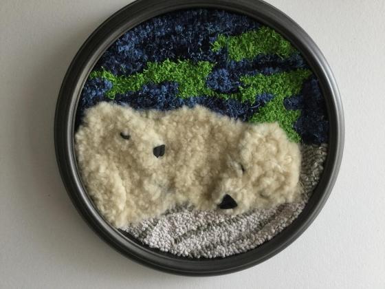 Nap time in the high arctic