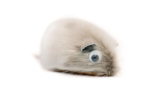Sealskin mouse