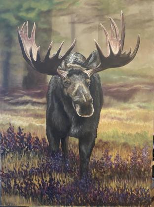 Woodland Moose