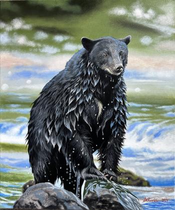 Black Bear in the River