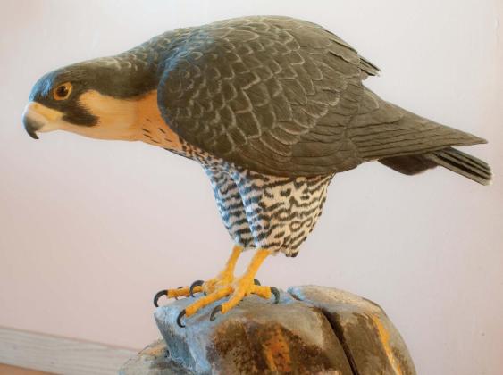peregrine falcon - basswood/spruce base acrylics