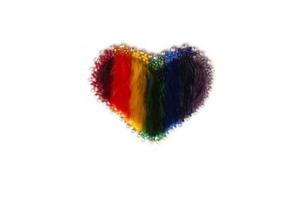 Sealskin Solidarity Heart Pin