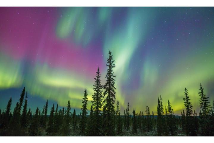 Featured Image for Kristian Binder