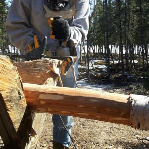 Featured Image for Robyn McLeod