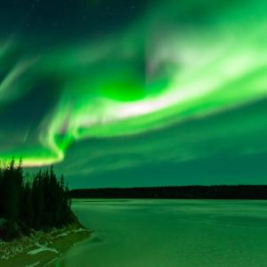 Featured Image for John McKinnon