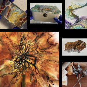 Featured Image for Kanina Clorey