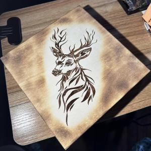 Deer